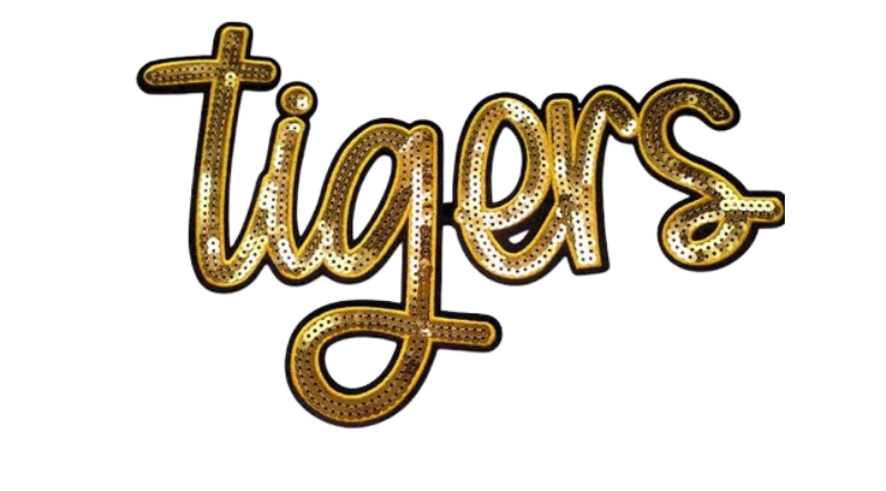 Custom Logo Sequin Patches